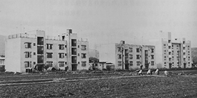 昭和43年3月　社宅は3棟とも完成した